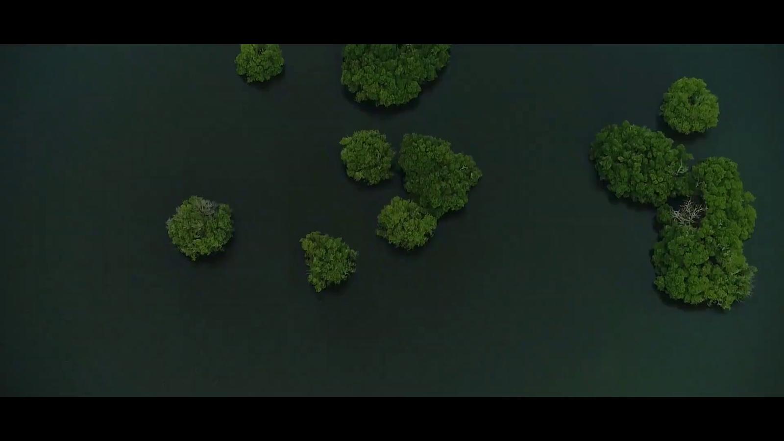Ensenada de Rio Negro Drone