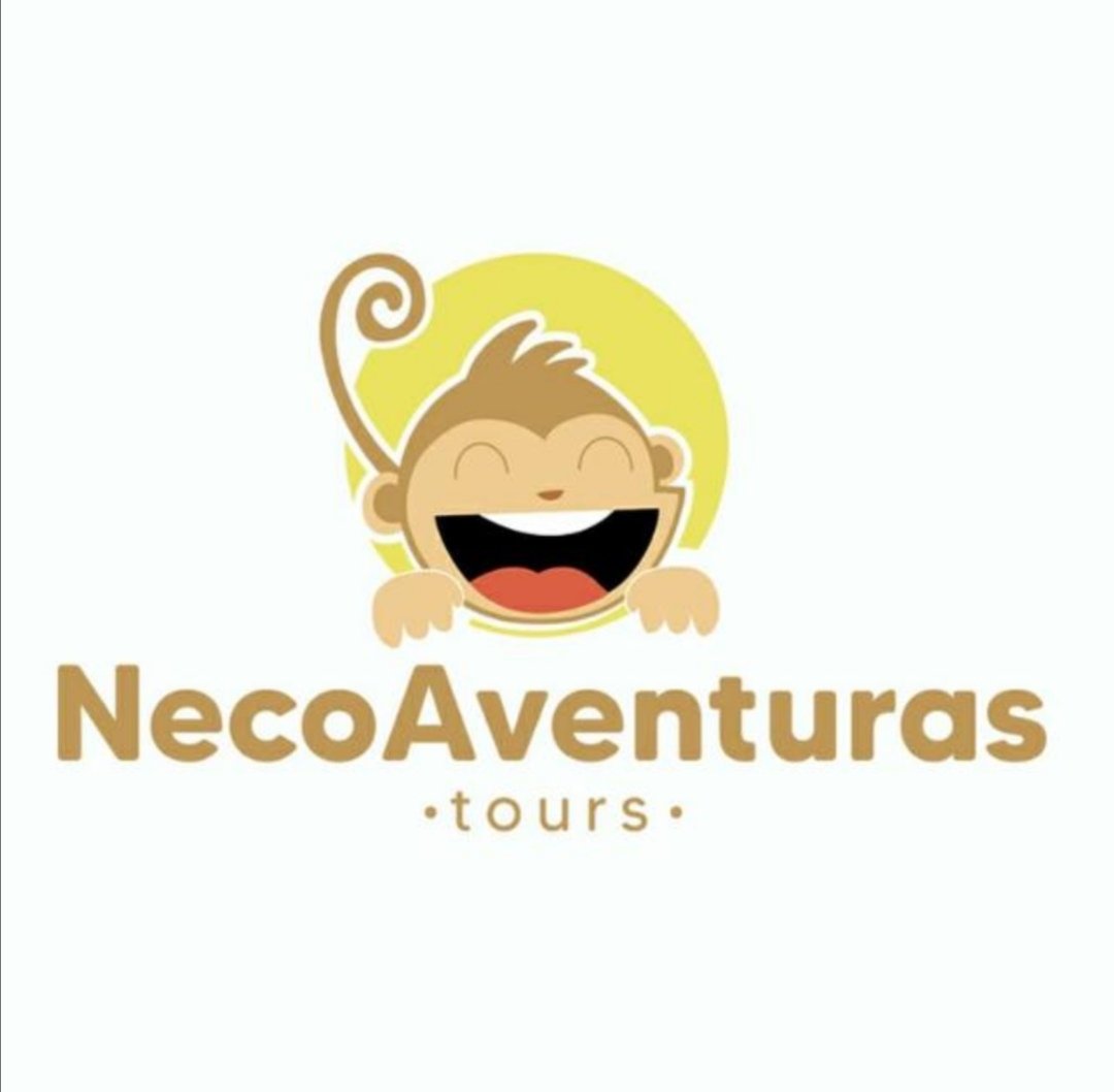 Logo Z04 NECOAVENTURAS